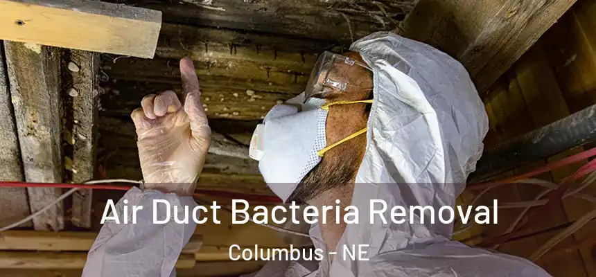 Air Duct Bacteria Removal Columbus - NE