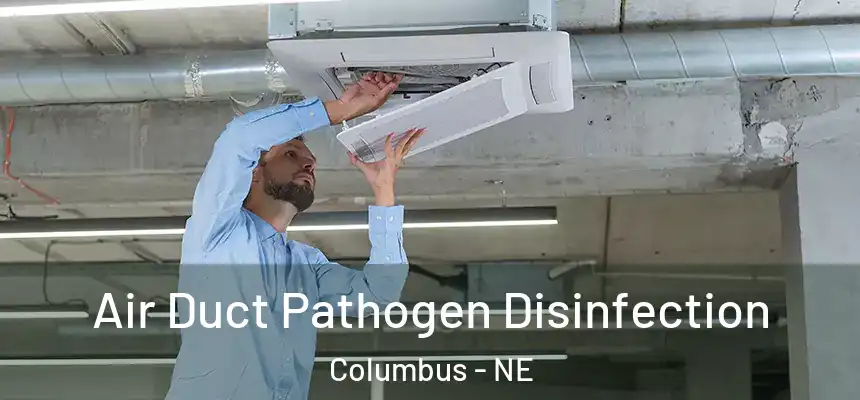 Air Duct Pathogen Disinfection Columbus - NE