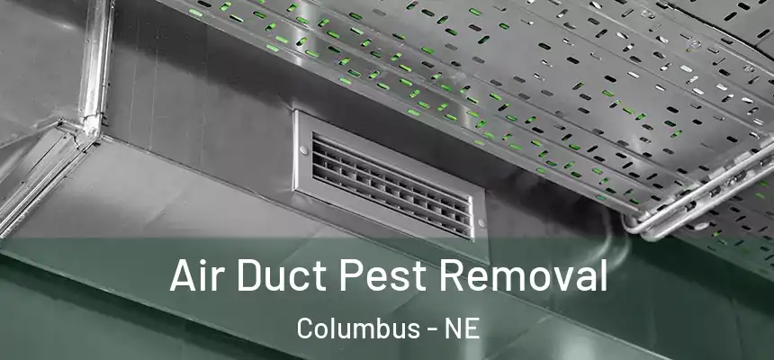  Air Duct Pest Removal Columbus - NE