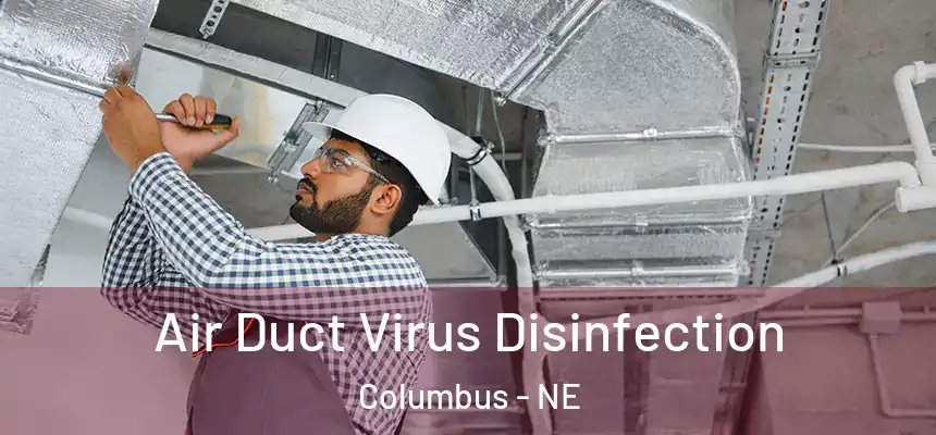  Air Duct Virus Disinfection Columbus - NE