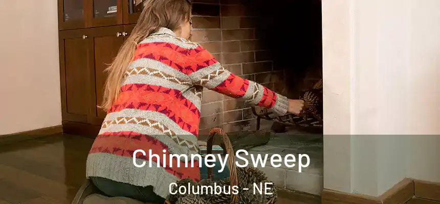 Chimney Sweep Columbus - NE