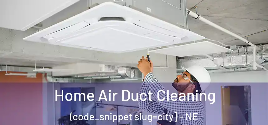  Home Air Duct Cleaning (code_snippet slug=city] - NE