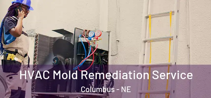  HVAC Mold Remediation Service Columbus - NE
