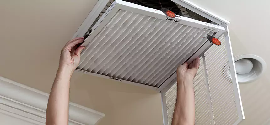 Preventive Cockroach-Proofing for Ducts in Columbus