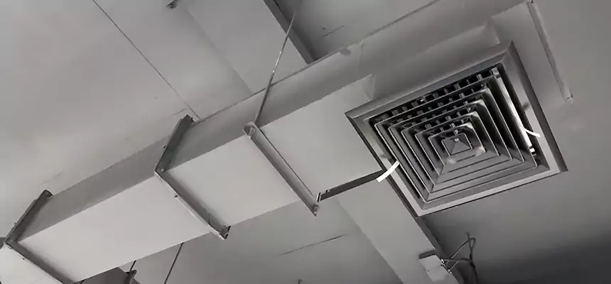 Our Rodent Droppings In Vents Services in Columbus, NE