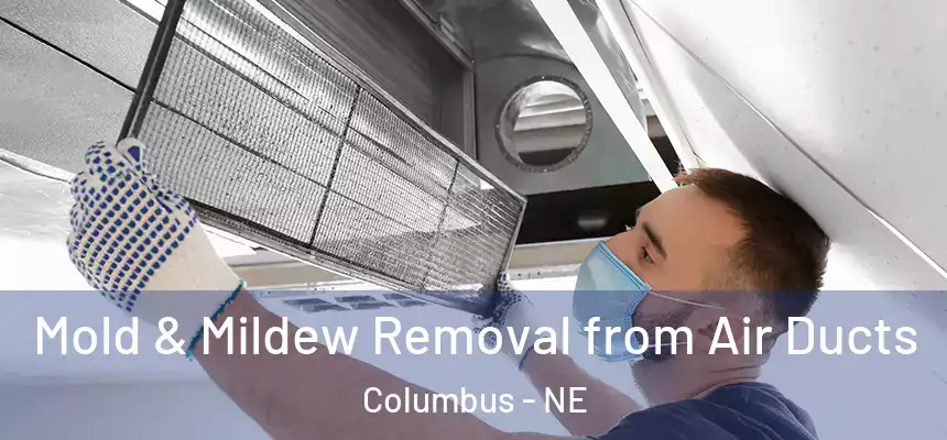  Mold & Mildew Removal from Air Ducts Columbus - NE