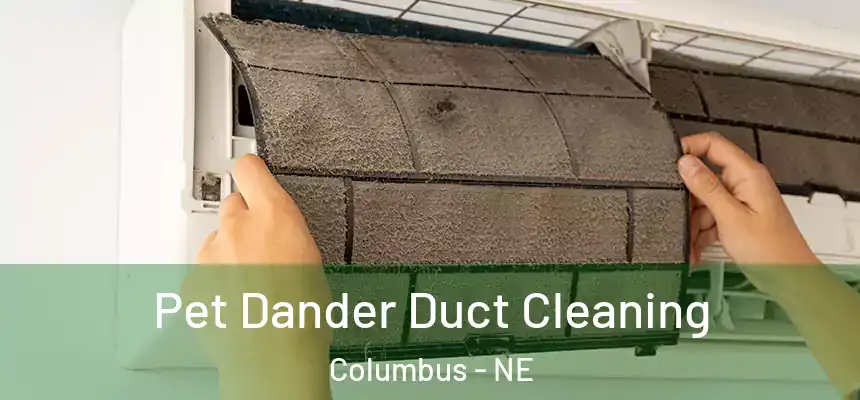  Pet Dander Duct Cleaning Columbus - NE