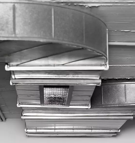 Professional Air Duct Pet Hair Removal in Columbus, NE